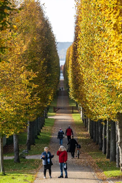 Fredensborg Dánsko Lidé Procházející Uličce Stromů Podzim Královské Barokní Zahrady — Stock fotografie