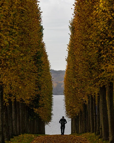 Fredensborg Dánsko Muž Kráčí Uličkou Mezi Stromy Podzim Královské Barokní — Stock fotografie