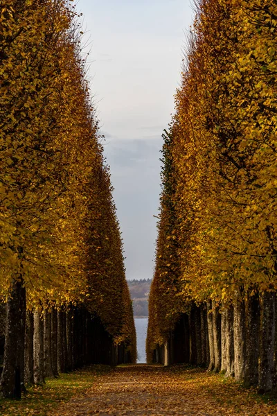 Fredensborg Dánsko Krajina Stromů Podzim Královské Barokní Zahrady Fredensborgského Paláce — Stock fotografie
