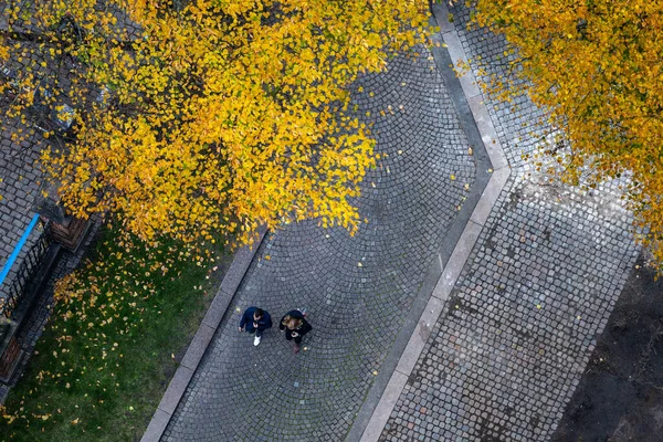 Kodaň Dánsko Podzimní Listí Roztroušené Ulici Christianshavnu — Stock fotografie