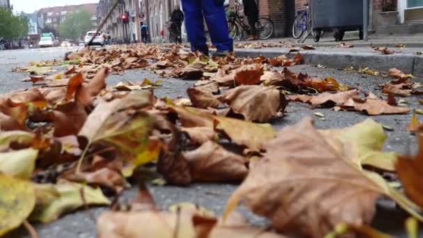 Copenhagen Denmark City Worker Sweeps Leaves Street Vesterbro District — Stock Video