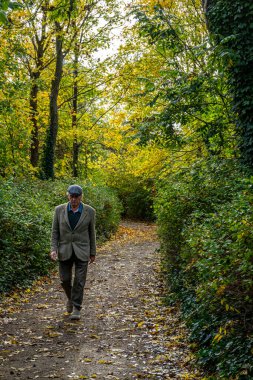Kopenhag, Danimarka, kıdemli bir adam Hristyanhavn bölgesinde sonbaharda bir patikada yürüyor..