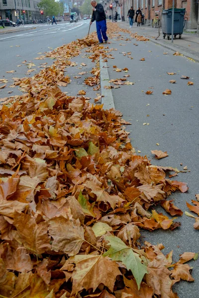Kopenhag, Danimarka 'da bir belediye işçisi Vesterbro' daki bisiklet yolundan para toplamak için ayrılıyor..