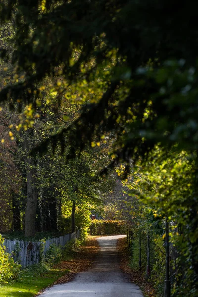 Kodaň Dánsko Zalesněná Stezka Podzimním Slunci Listí — Stock fotografie