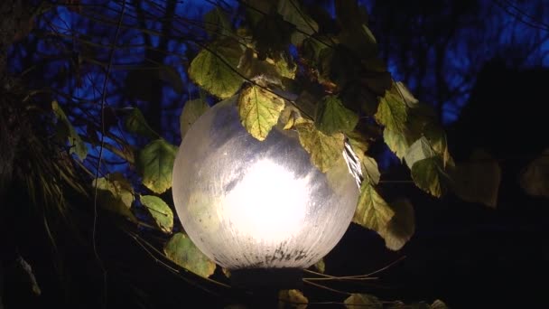 コペンハーゲンデンマーク夜明けに電気ランプのポストと秋の葉 — ストック動画