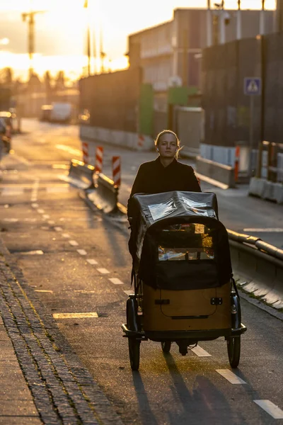 Kopenhagen Dänemark Eine Frau Fährt Ein Lastenrad Der Untergehenden Sonne — Stockfoto