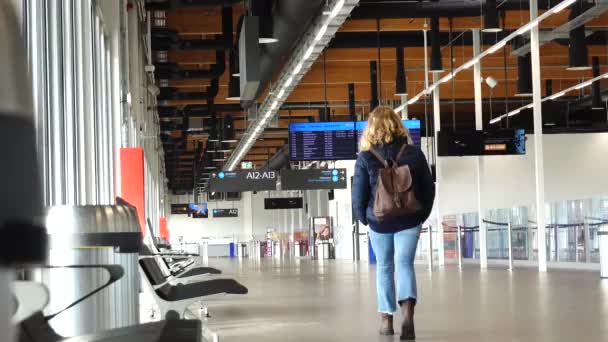 Budapeşte Macaristan Havaalanında Yürüyen Bir Kadın Yolcu — Stok video