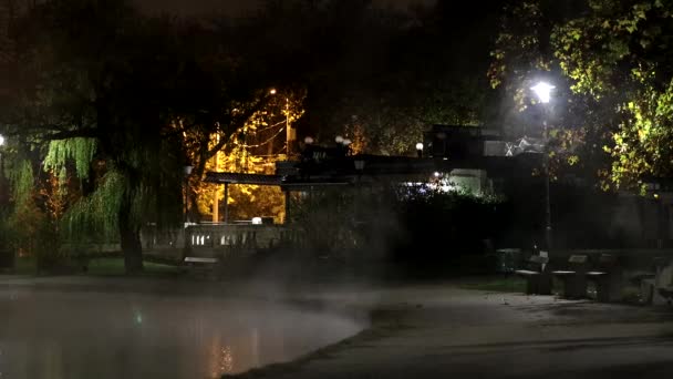 Budapest Hongrie Brouillard Sort Étang Nuit Dans Parc Ville Vrosliget — Video