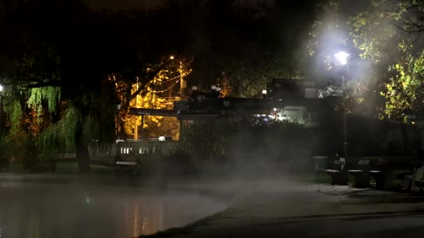 Budapest Hungary Fog Rolls Pond Night City Park Vrosliget — Stock Video