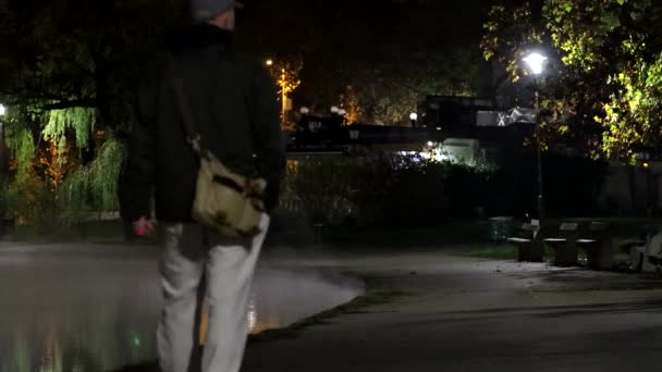 Будапешт Венгрия Мужчина Гуляет Пруду Ночью Городском Парке Vliget — стоковое видео