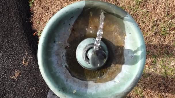 メリーランド州ソロモンズ公園内の小さな飲料噴水 — ストック動画