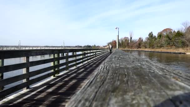 Solomons Maryland Usa Człowiek Spaceruje Drewnianym Doku Słońcu Nad Brzegiem — Wideo stockowe