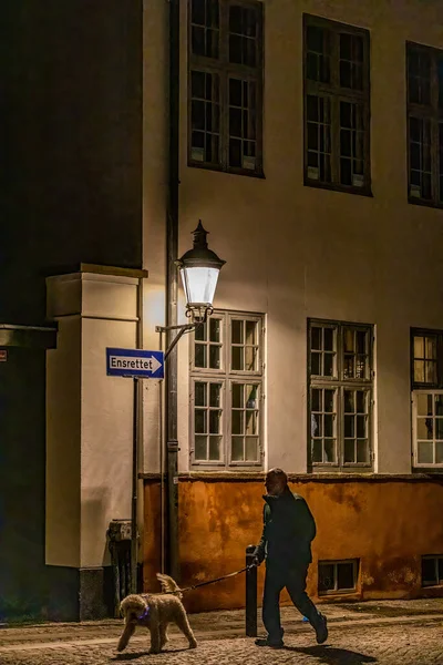 Copenhagen Denmark Man Walks His Dog Store Kannikestraede Old Lampost — Stock Photo, Image