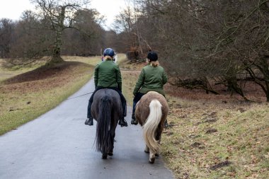Copenhagen, Denmark  Two women ride horses on a path in the park.