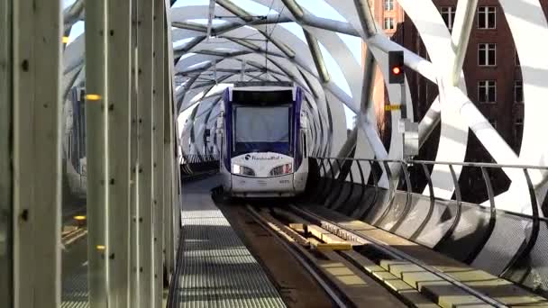 Hague Netherlands City Tram Rides City — Stok video