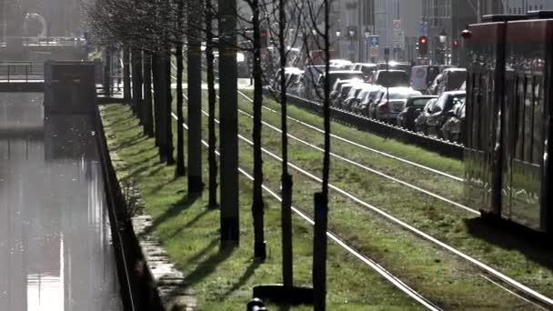 Hague Netherlands City Tram Rides City — Stock Video