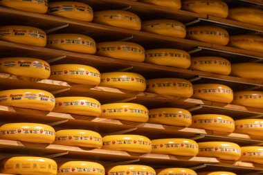 The Hague, Netherlands  Dutch cheese for sale in a market.