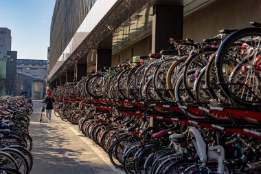 Rotterdam, Netherlands A man carries his daughter through rows of bicycles parked at the Rotterdam Central Station.