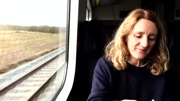 Κοπεγχάγη Δανία Μια Γυναίκα Επιβάτης Ένα Δανέζικο Τρένο Κάθεται Στο — Αρχείο Βίντεο