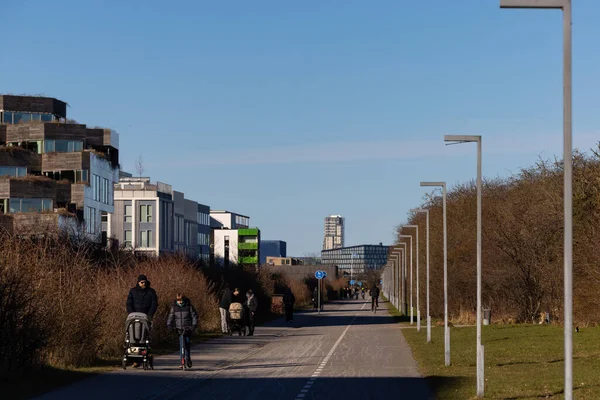 Copenhague Dinamarca Largo Carril Bici Distrito Orestad Peatones —  Fotos de Stock