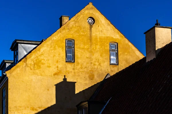 덴마크 드라고 노란색 꼭대기 — 스톡 사진