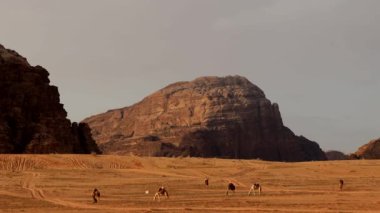 Wadi Rum, Ürdün Güney Ürdün 'ün kırmızı, kayalık ve kumtaşı çölü 