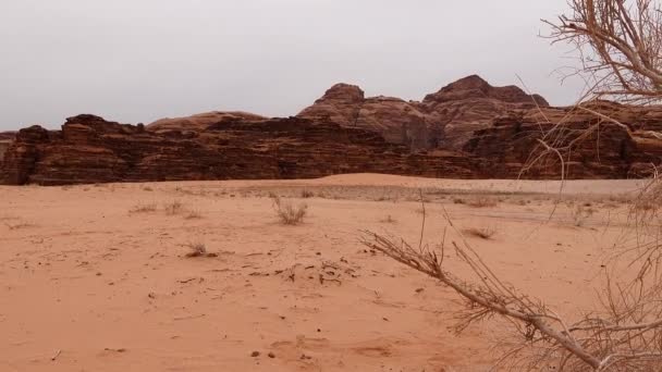 Wadi Rum Jordanien Den Röda Steniga Och Sandstensöknen Södra Jordanien — Stockvideo