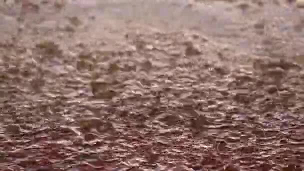 Mar Muerto Jordania Lluvia Torrencial Cayendo Sobre Pavimento — Vídeos de Stock