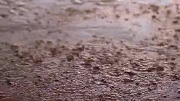 Mar Muerto Jordania Lluvia Torrencial Cae Sobre Pavimento — Vídeos de Stock