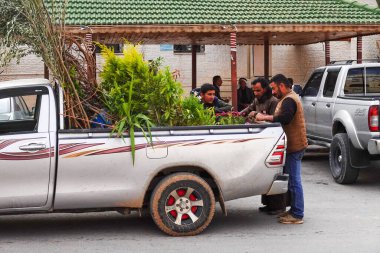 Vadi Musa, Ürdün çiftçileri şehir merkezinde bir pikapta bitkileri ve küçük ağaçları tartışıyor..