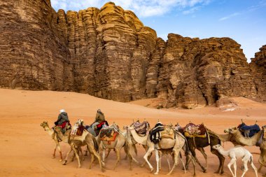 Wadi Rum, Jordan Çölde yürüyen bir Bedevi deve kervanı.