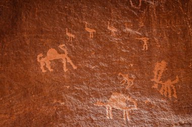 Wadi Rum, Ürdün 'ün kayalık yüzeyinde antik petroglifler develeri ve kuş figürlerini tasvir eder..