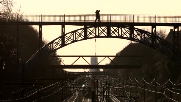デンマーク コペンハーゲン1899年から続く鉄橋 カールスベルク ヴィアダクト 日没時に列車が運行されている — ストック動画