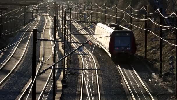Kopenhagen Dänemark Das Carlsberg Viadukt Eine Stählerne Fußgängerbrücke Aus Dem — Stockvideo