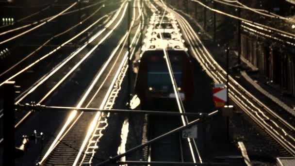 Kopenhagen Dänemark Das Carlsberg Viadukt Eine Stählerne Fußgängerbrücke Aus Dem — Stockvideo