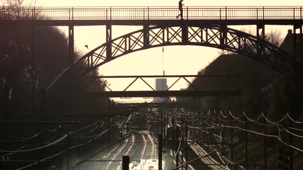 Koppenhága Dánia Carlsberg Viadukt Egy Acél Gyalogos Híd 1899 Ből — Stock videók