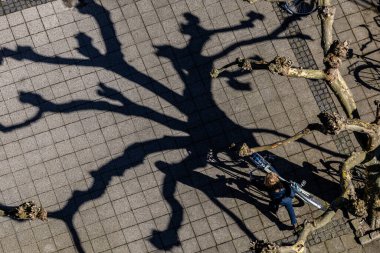 Kopenhag, Danimarka. Danimarkalı bir kadın baharda güneşli bir avluda kirlenmiş ağaçlarla bisiklet kullanıyor..