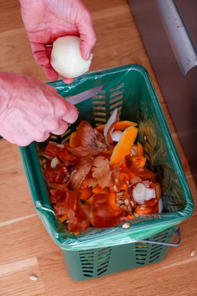 Bir Kadın Soğanı Keser Kabuğunu Organik Atıkların Biyogaza Dönüşmesi Için — Stok fotoğraf