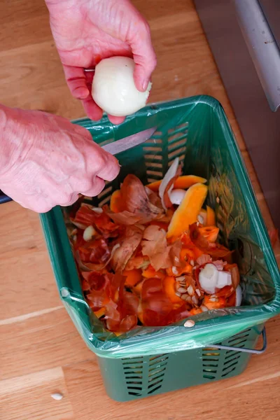 Woman Cuts Onion Drops Peel Special Kitchen Container Organic Waste — Stock Photo, Image
