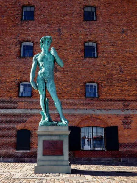 Kopenhagen Dänemark Eine Große Davidstatue Von Michelangelo Auf Einer Hafenpromenade — Stockfoto