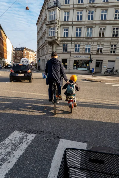 코펜하겐에서 덴마크 에사는 아버지가 자전거를 브로커에서 교차로를 건너도록 인도하는 — 스톡 사진