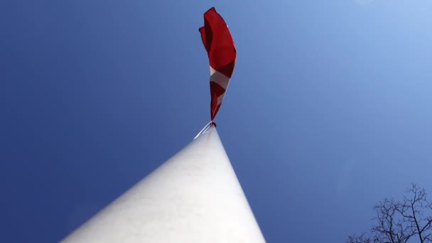 Dánská Vlajka Stožáru Vlaje Větru — Stock video