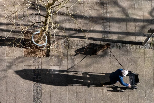 Копенгаген Дания Высокопоставленная Женщина Выгульщиком Выгуливает Свою Собаку Ранними Грозовыми — стоковое фото