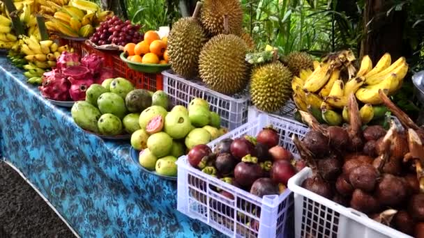 Bali Endonezya Egzotik Bali Meyveleri Pazarda Satılık Meyva Gibi — Stok video