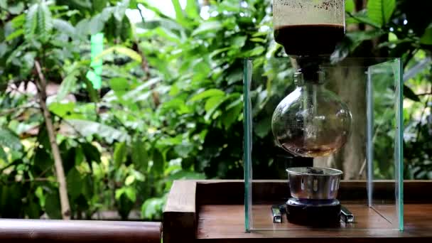 Bali Indonesien Kopi Luwak Eller Bajs Kaffe Som Bryggs Bordsskiva — Stockvideo