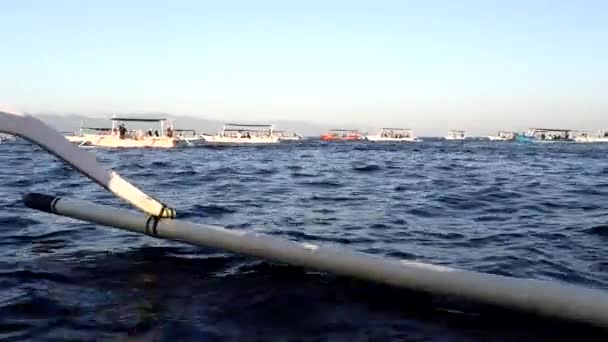 Ловина Бали Индонезия Традиционные Рыболовные Лодки Дельфине Сафари Балийском Море — стоковое видео
