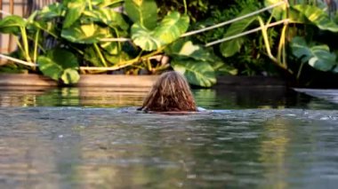 Canggu, Bali, Endonezya Orta yaşlı bir kadın gün batımında havuzda yüzer.
