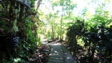 Lovina, Bali, Endonezya yemyeşil ormanda engebeli bir yol. 