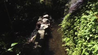 Lovina, Bali, Endonezya Ormanda su akışını toplamak ve yönetmek için küçük bir nehir veya kanal.  