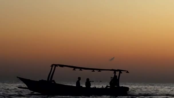 Lovina Μπαλί Ινδονησία Παραδοσιακά Αλιευτικά Σκάφη Σαφάρι Δελφινιών Στη Θάλασσα — Αρχείο Βίντεο